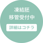 凍結胚移管受付中