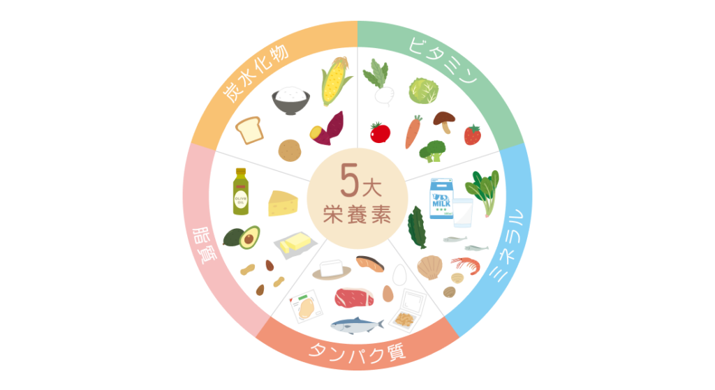 5大栄養素