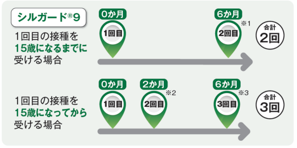 子宮頸がんワクチン（シルガード9）接種スケジュール例