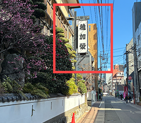 稚加榮