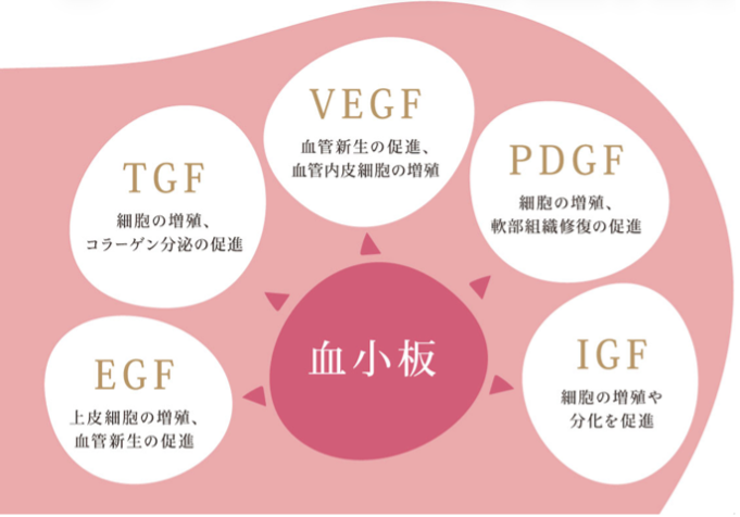 血小板